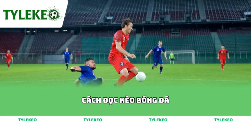 Cách Đọc Kèo Bóng Đá