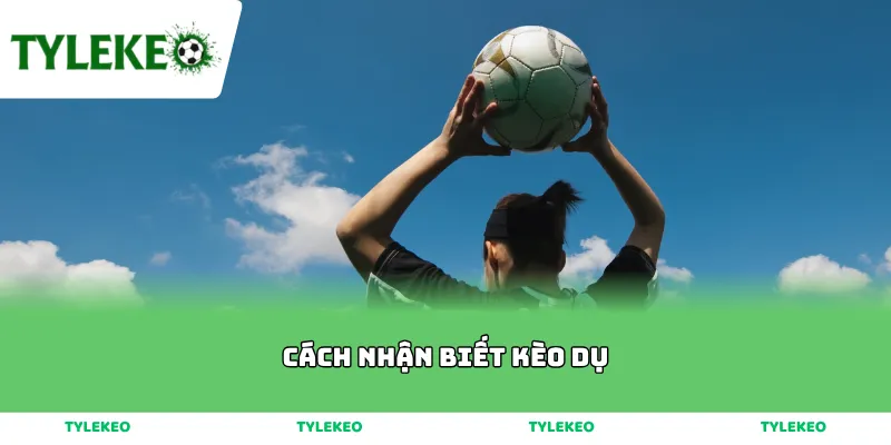 Cách Nhận Biết Kèo Dụ