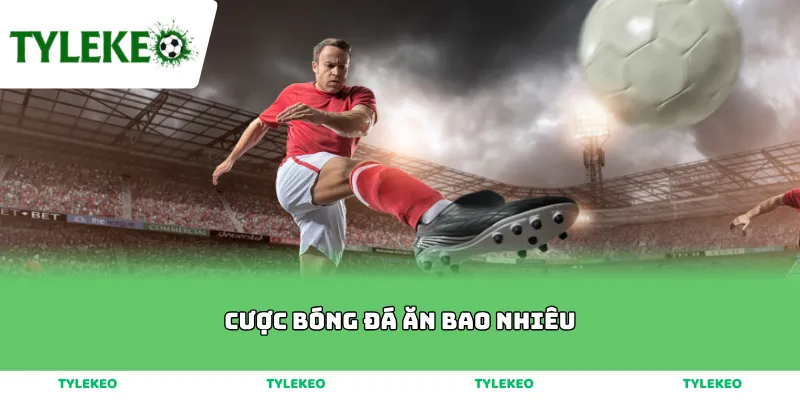 Cược Bóng Đá Ăn Bao Nhiêu Tiền