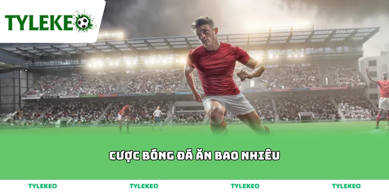 Cược Bóng Đá Ăn Bao Nhiêu