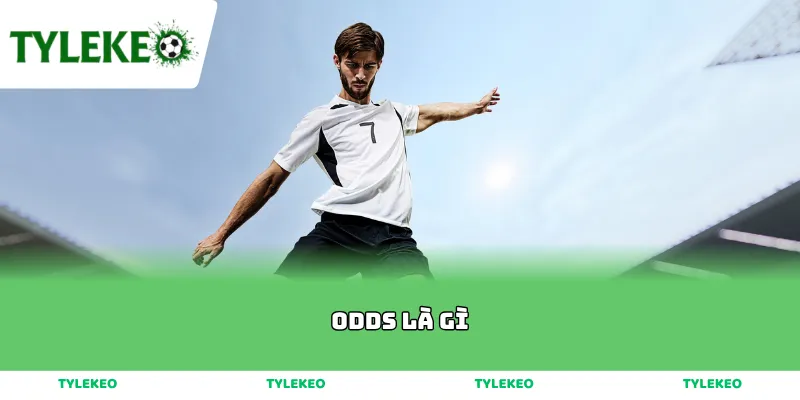 Odds là gì