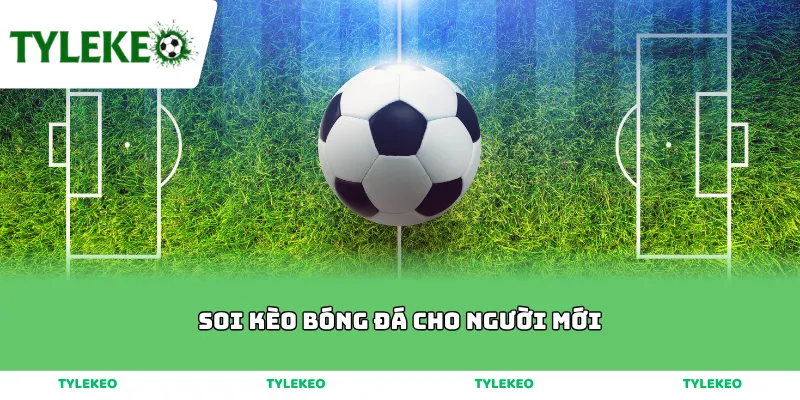 soi kèo bóng đá cho người mới