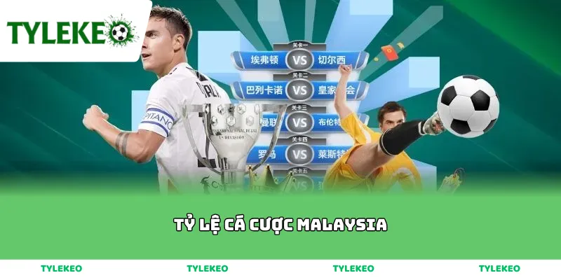 tỷ lệ cá cược malaysia